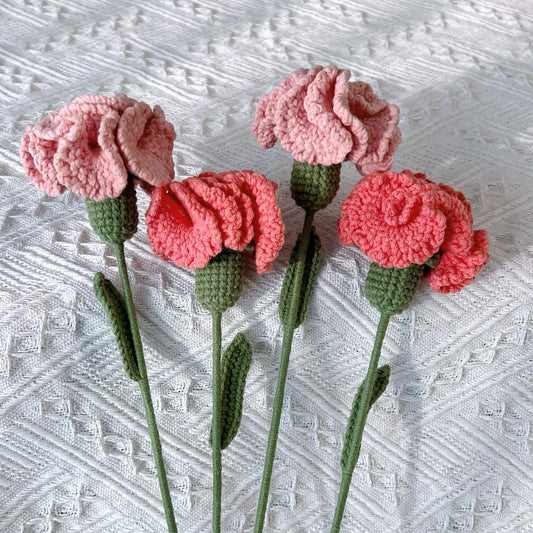 Carnation