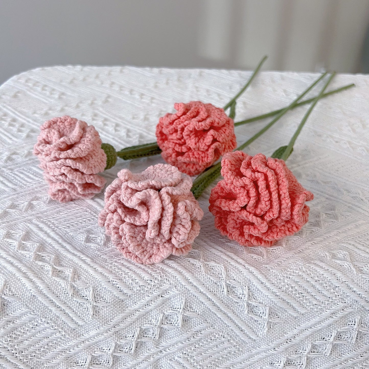 Carnation