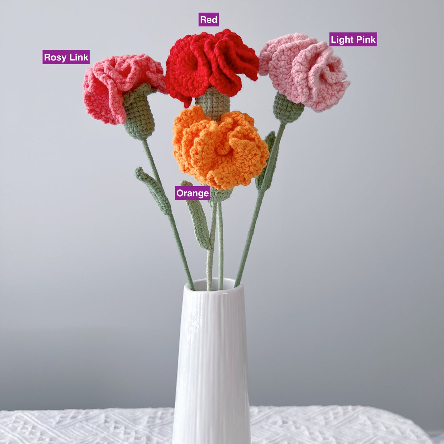 Carnation