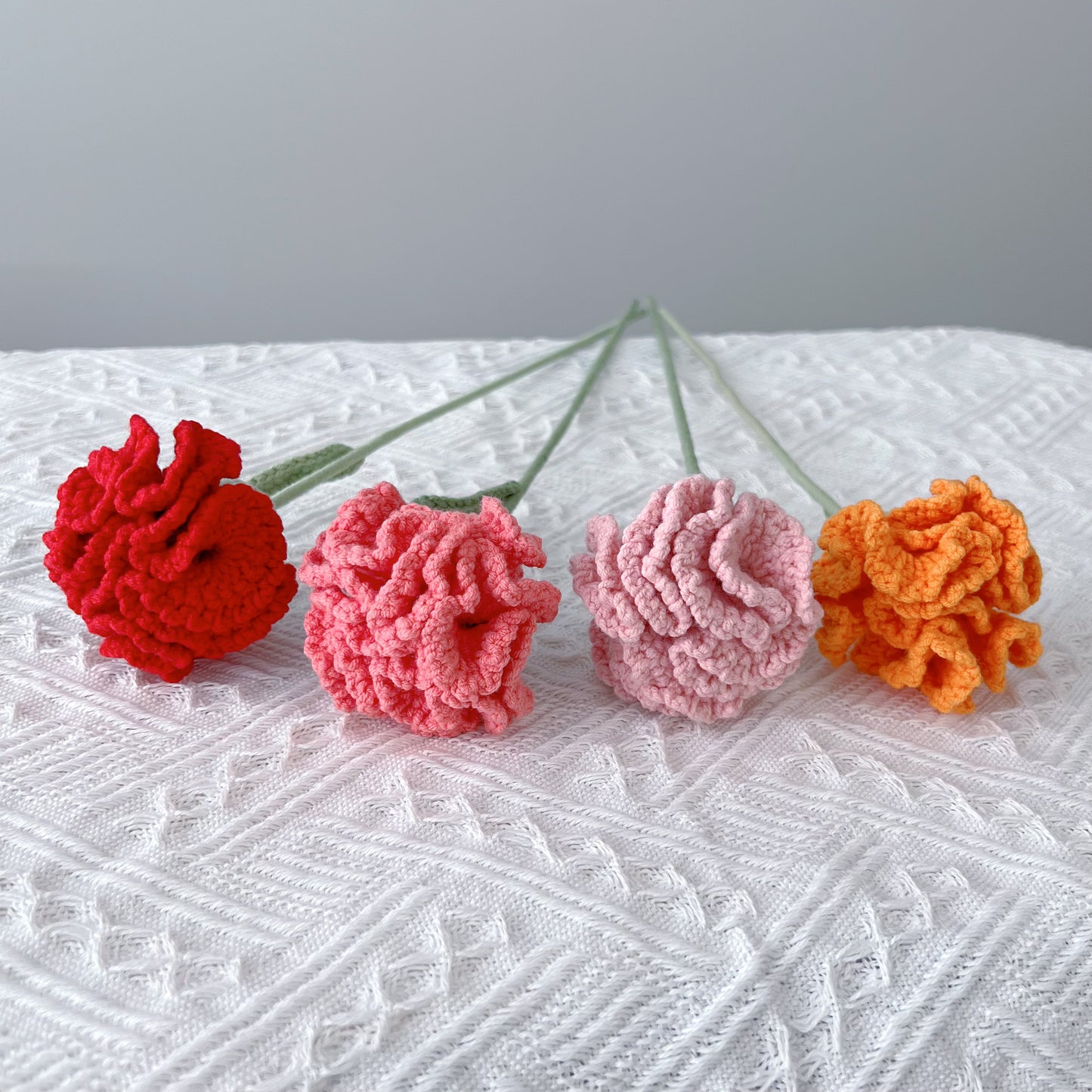 Carnation