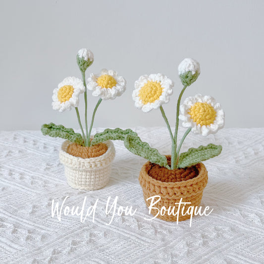 Small Daisy Pot